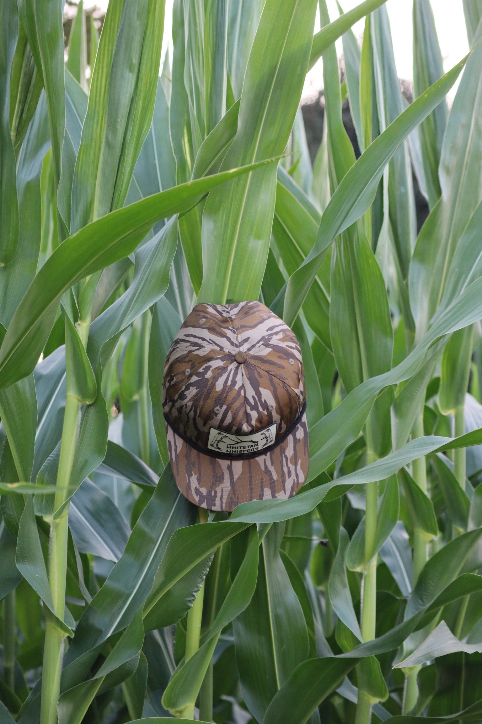 Bottomland hat
