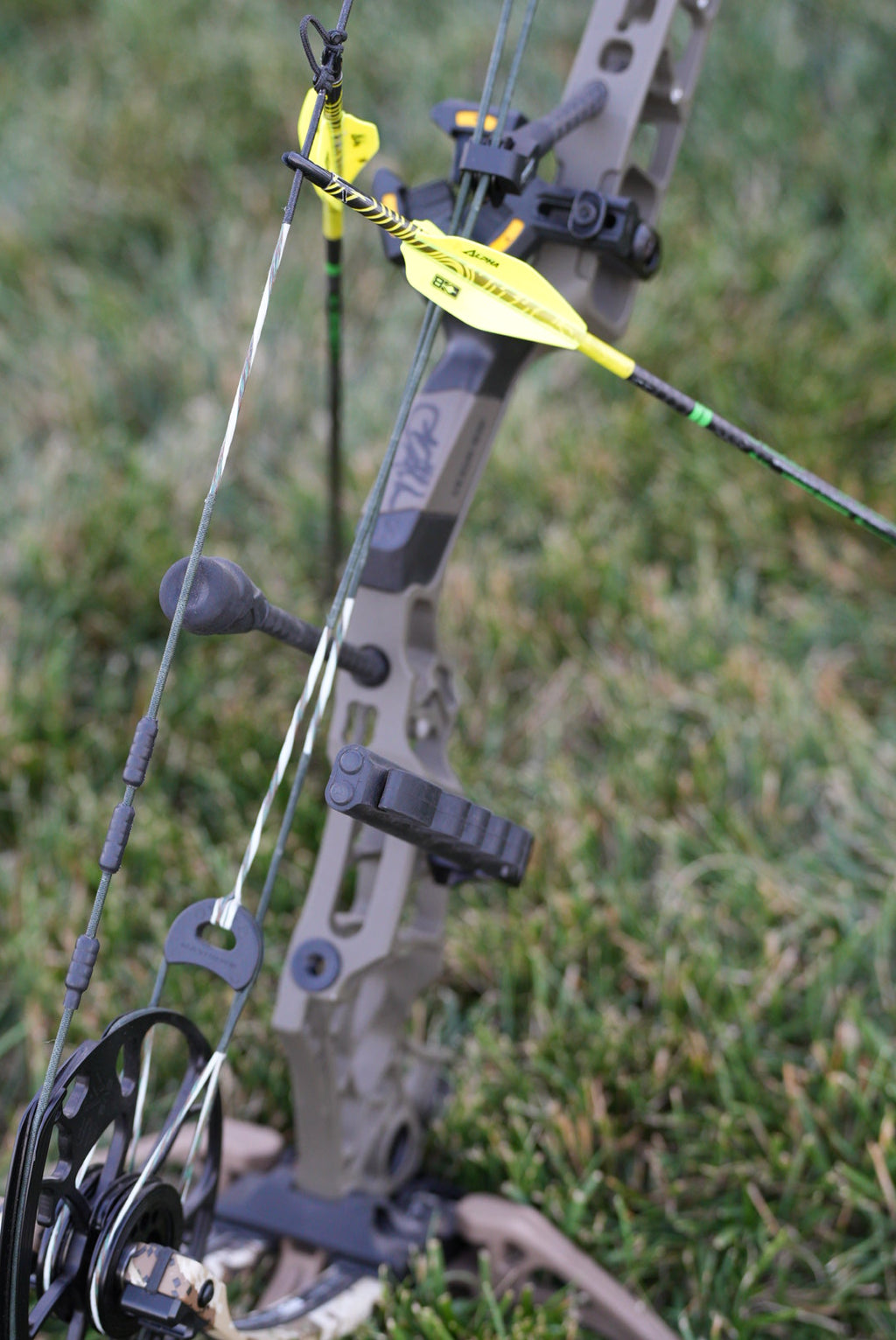 Signed Bow Giveaway