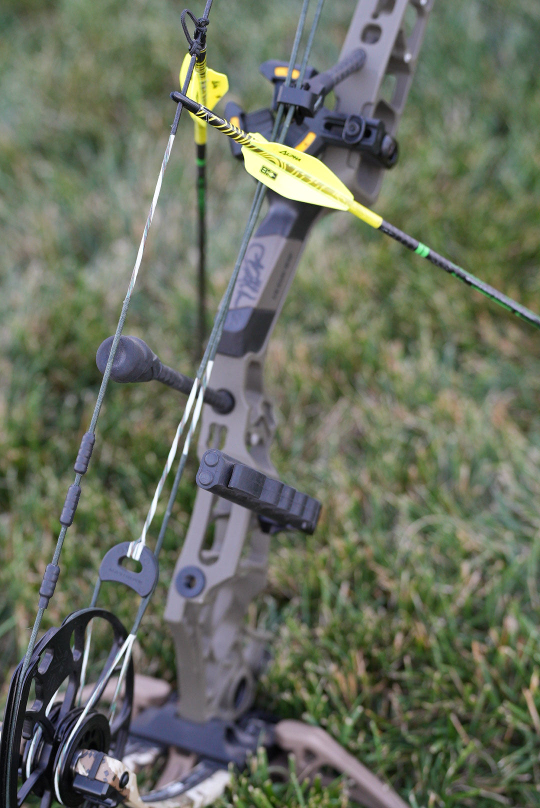 Signed Bow Giveaway